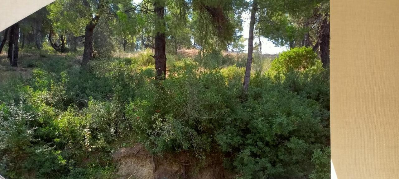 Siviri Sea & Forest-Cozy Apartment With Garden & Nature Views Exterior foto